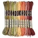 12 Skeins 105 Yards Variegated Embroidery Floss Thread for Craft