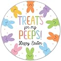 120xHappy Easter Stickers, 2 Inch Round Waterproof Easter Bunny Stickers, Self Adhesive Labels for Easter Party Decorations, Treat Bags &amp; Gifts (Round Bunny)