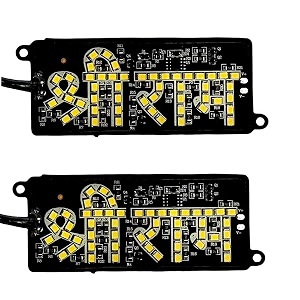 12v 5w ram led module light for car bike number plate  decorative waterproof led for vehicle modification pack of 2