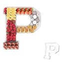 13.8" Acrylic Letter Charcuterie Tray,Fillable Alphabet Box (Letter P)
