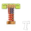 13.8" Acrylic Letter Charcuterie Tray,Fillable Alphabet Box (Letter T)