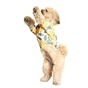 15 BUTTONS Limon Summer Dog Shirt| Pet Fashion, Cute Prints, Gift for Pets | Comfortable Dog Clothing(Recommended Breed - Healthy Golden Retriever, Labrador, German Shephard, Huskey)(3XL)