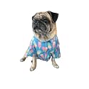 15 BUTTONS Gummy Bears Print Summer Dog Shirt | Super Soft and Comfortable Dog Clothing for French Bulldog, Boxer, Young Labs, Retrievers (XL)