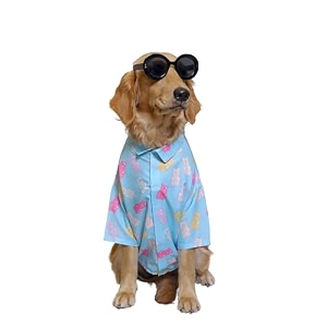 15 buttons gummy bears print summer dog shirt m  pet fashion cute prints gift for pets  super soft light weight comfortable dog clothing recommended breed - pug beagle indie pomerian