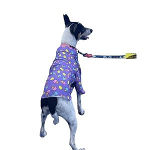 15 buttons i scream you scream print dog shirt super soft comfortable pet clothing all season petwear pet acessories recommended breed - maltese toy poodle lhasa shih tzu catsxs