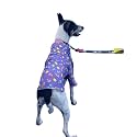 15 BUTTONS I Scream You Scream Print Dog Shirt Super Soft Comfortable Pet Clothing, All Season Petwear, Pet Acessories (Recommended Breed - Beagle, Cocker Spaniel, Indie)(L)
