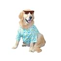 15 BUTTONS Gummy Bears Print Summer Dog Shirt | Super Soft and Comfortable Dog Clothing for French Bulldog, Boxer, Young Labs, Retrievers (XL)