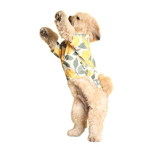 15 buttons limon summer dog shirt  super soft and comfortable dog clothing for pug beagle indie pomeranian m