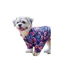 15 BUTTONS Neon Tropical Print Summer Dog Shirt (3XL) | Pet Fashion, Cute Prints, Gift for Pets, Dog Clothing (Recommended Breed - Healthy Golden Retriever, Labrador, German Shephard, Huskey)