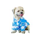 15 BUTTONS Gummy Bears Print Summer Dog Shirt (2XL) | Pet Fashion, Cute Prints, Gift for Pets, Dog Clothing (Recommended Breed - Average Golden Retriever, Labrador, German Shephard, Huskey)