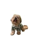 15 BUTTONS Gummy Bears Print Summer Dog Shirt (M) | Pet Fashion, Cute Prints, Gift for Pets | Super Soft, Light Weight, Comfortable Dog Clothing (Recommended Breed - Pug, Beagle, Indie, Pomerian)