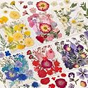 150 Pcs Dried Pressed Flowers for Resin