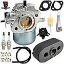 15003-7061 Carburetor for Kawasaki FH430V FH381V FH541V FS481V Engine, Replacement Carb 15003-7047 15004-7057 15003-7107 15003-7054 with Fuel Pump Air Filter Oil Filter Kit