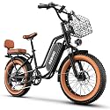 1500W Ebikes for Adults,48V 20/25/60Ah Removable Battery Max Range 80Miles Electric Bike,20''×4" Fat Tire Electric Bike,Adult Electric Bicycles for Commute Beach Snow,E-Bike UL Certified