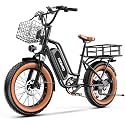 1500W Ebikes for Adults,48V 20/25/60Ah Removable Battery Max Range 80Miles Electric Bike,20''×4" Fat Tire Electric Bike,Adult Electric Bicycles for Commute Beach Snow,E-Bike UL Certified