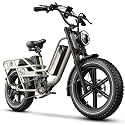 1500W Electric Bike for Adults,48V 20/25/60Ah Removable Battery Max Range 80Miles Ebike,20"×4" Fat Tire Electric Bike,Adult Electric Bicycles for Commute Beach Snow,E-Bike UL Certified