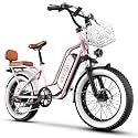 1500W Electric Bike for Adults,48V 20/25/60Ah Removable Battery Max Range 80Miles Electric Bicycle,20''×4" Fat Tire Ebike,Adult Electric Bicycles for Commute Beach Snow,E-Bike UL Certified