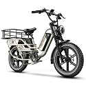 1500W Electric Bike for Adults,48V 20/25/60Ah Removable Battery Max Range 80Miles Ebike,20''×4" Fat Tire Electric Bike,Adult Electric Bicycles for Commute Beach Snow,E-Bike UL Certified
