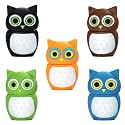 16GB USB Flash Drive Pack of 5 Pcs, BorlterClamp Thumb Drive with Cute Colorful Owl Pattern, Gift for Students and Children