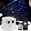 ATOKEE Twinkle Starlight Headliner Kit 600pcs 0.03in 9.8ft