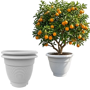 17 Inch Large Plant Pots for Big