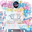 172 PCs Elephant Gender Reveal Decorations, Hombae Boy or Girl Gender Reveal Decorations What Will Baby Be Backdrop Balloon Garland Banner Tablecloth Cake Cupcake Topper Box Cutout Poster Sash
