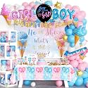 172 PCs Whats The Scoop Gender Reveal Decorations, Hombae Boy or Girl Gender Reveal Decorations Backdrop Balloon Garland Banner Tablecloth Cake Cupcake Topper Box Cutout Poster Sash Ice Cream