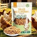 1lbs Dried Mealworms for Chickens Duck High Protein Birds Treat