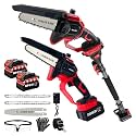 2-in-1 Cordless Pole Saw &amp; 6'' Mini Chainsaw for Tree Trimming