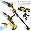 2-in-1 Cordless Pole Saw &amp; 8-Inch Mini Chainsaw for Tree Trimming