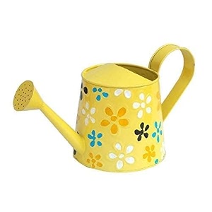 watering can metal for plants garden water can indoor plant watering can decorative balcony garden tools plant care accessories flower