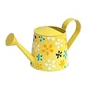 Watering can, Metal for Plants, Garden Water can, Indoor Plant Watering can, Decorative, Balcony Garden Tools, Plant Care Accessories, Flower