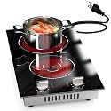 2 Burners Electric Cooktop 2000W, Plug in Electric Stove Top110v, Countertop &amp; Built-in Cook top 12 Inch, 2 Burner Cooktop Knob Control, 9 Power Levels, Grey knob, Karienvir