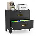 2 Drawer File Cabinet with Lock, Small Filing Cabinet for Home Office