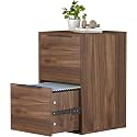 2 Drawer File Cabinets, Wood File Cabinet with Hanging Bar for Letter Size, Modern Farmhouse Under Desk Drawer, Printer Stand Small Filing Cabinets for Home Office, Dark Walnut