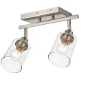 2 Light Track Lighting Fixtures Ceiling, Modern Brushed Nickel