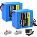 2 Pack 24V 5000mAh Rechargeable Lithium Battery Pack with Charger, Replacement Li-ion Battery Compatible with 24 Volt DIY, RC Car, LED Light Strip, CCTV Camera