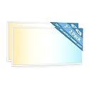 2 Pack 2x4 LED Flat Panel Light