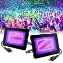 2 Pack 60W UV Light, IP66 Waterproof Outdoor UV Black Lights with UL Plug (4.9ft Cable), 395nm-405nm Blacklight for Glow Party, Stage, UV Glue Resin Curing Paint, Collection