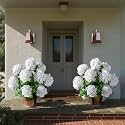 2 Pack Artificial Plants UV Resistant Faux Hydrangea Tree Indoor Outdoor Realistic Floor Plants Large Faux Plastic plantas Fake Flowers Trees for Home Porch Garden Office Porch Patio Front Decor