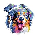 (2 Pack) Australian Shepherd Dog Breed Stickers - 5 Inches On Longest Side - Choose from Over 100 Dog Breeds - for Cars, Trucks, Skateboards, Laptops - Made in USA - BMCS1760