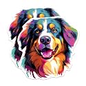 (2 Pack) Bernese Mountain Dog Breed Stickers - 5 Inches On Longest Side - Choose from Over 100 Dog Breeds - for Cars, Trucks, Skateboards, Laptops - Made in USA - BMCS1777