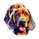 (2 Pack) Bloodhound Dog Breed Stickers - 5 Inches On Longest Side - Choose from Over 100 Dog Breeds - for Cars, Trucks, Skateboards, Laptops - Made in USA - BMCS1781