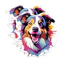 (2 Pack) Border Collie Dog Breed Stickers - 5 Inches On Longest Side - Choose from Over 100 Dog Breeds - for Cars, Trucks, Skateboards, Laptops - Made in USA - BMCS1784