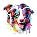 (2 Pack) Border Collie Dog Breed Stickers - 5 Inches On Longest Side - Choose from Over 100 Dog Breeds - for Cars, Trucks, Skateboards, Laptops - Made in USA - BMCS1783