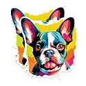 (2 Pack) Boston Terrier Dog Breed Stickers - 5 Inches On Longest Side - Choose from Over 100 Dog Breeds - for Cars, Trucks, Skateboards, Laptops - Made in USA - BMCS1792