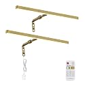 2 Pack Brass Picture Lights for Paintings Plug in, 16" 4W Adjustable LED Gold Picture Light Art Light, Remote Control Gallery Painting Wall Light for Picture Display Dartboard Art Work (Gold)