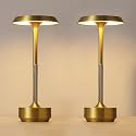 2 Pack Cordless Rechargeable LED Table Lamp, Portable Desk Lamp，Gold