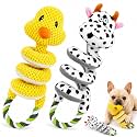 2 Pack Dog Rope Toys, Squeaky Plush Tug and Chew Toys for Medium Large Dogs