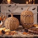 2 Pack Rattan Pumpkin Decor, Thanksgiving Wicker Pumpkin Table Centerpiece